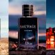 dior-sauvage-dossier-co